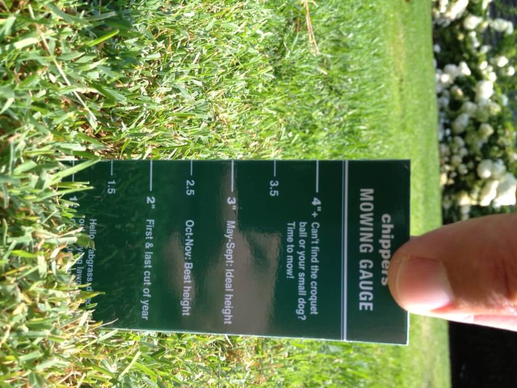 For a free mowing magnet, just e-mail or call anytime.