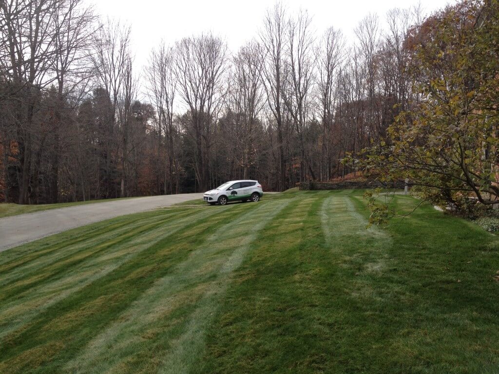 A healthy fall lawn