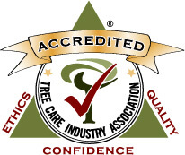 TCIA Accredited Logo