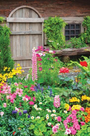 Summer garden