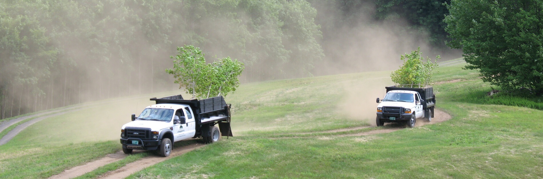 Chippers trucks bring in new trees.