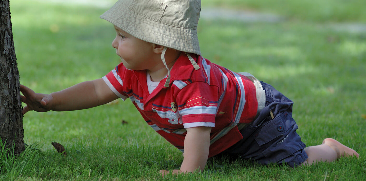 A baby crawling on the grass, reaching out to touch a tree.