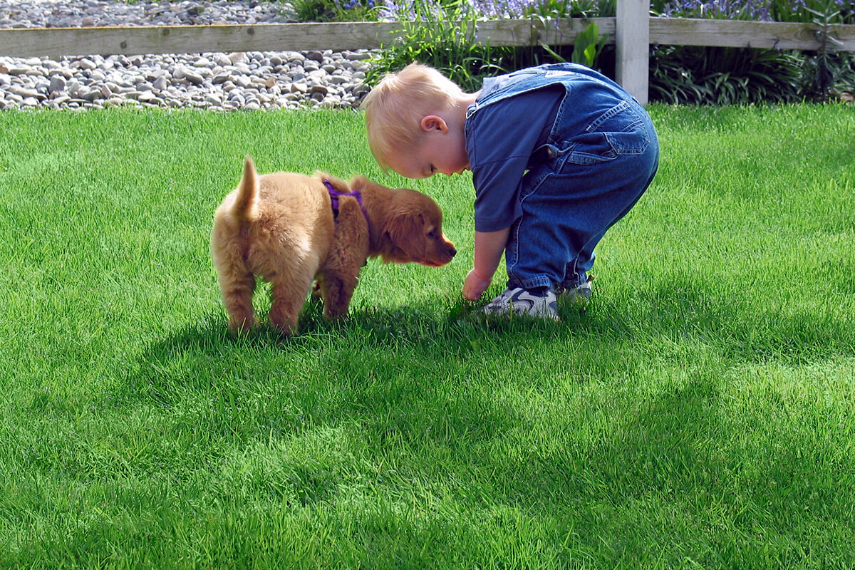 A toddler and his puppy enjoying their lawn.