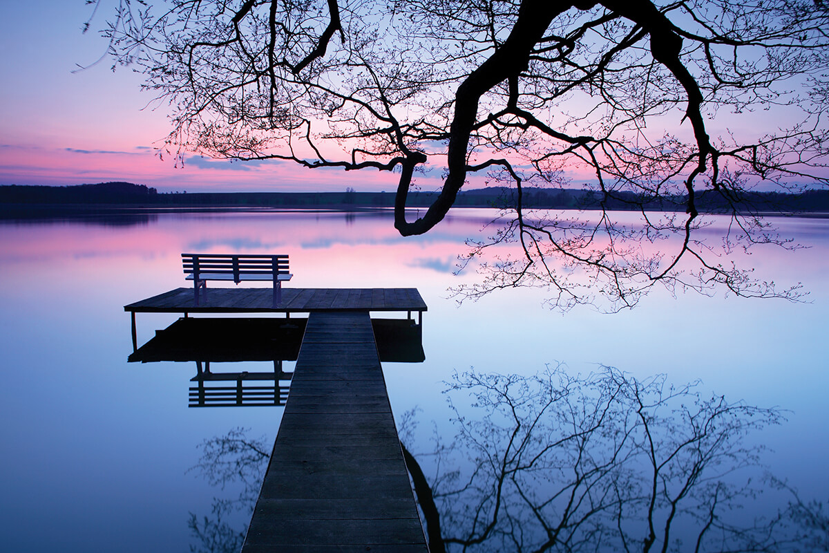 Sunset from a lake dock sheltered by a budding, overhanging tree branch.