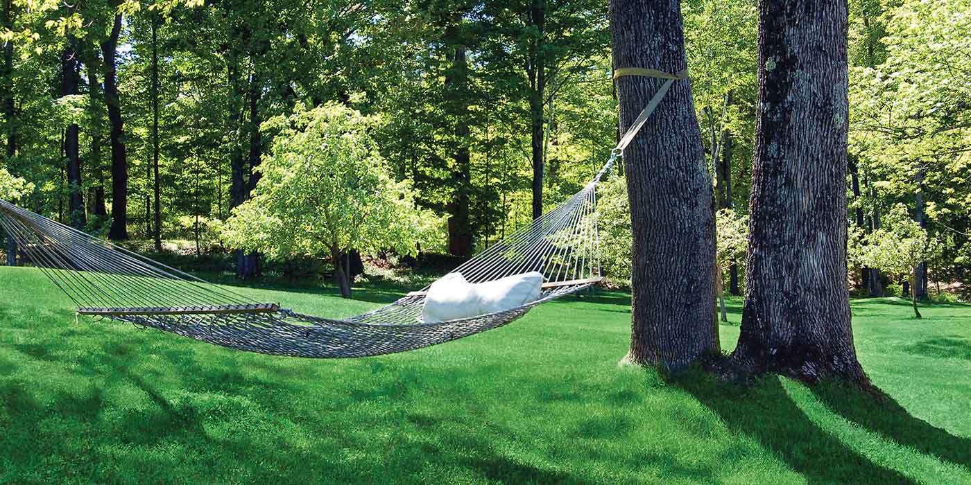 Hammock strung between two trees over a green summer lawn.