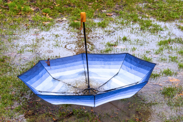 Upside down umbrella floating in a puddle collecting rain and leaves in a spring storm, seasonal or bad luck concept