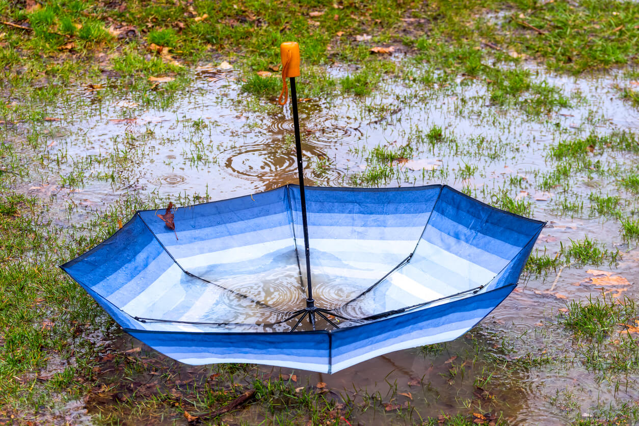 Upside down umbrella floating in a puddle collecting rain and leaves in a spring storm, seasonal or bad luck concept