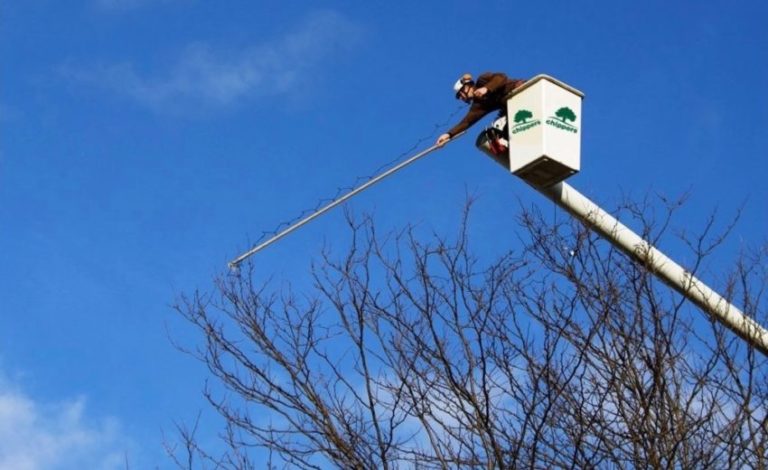 Man hanging lights in bucket truck.