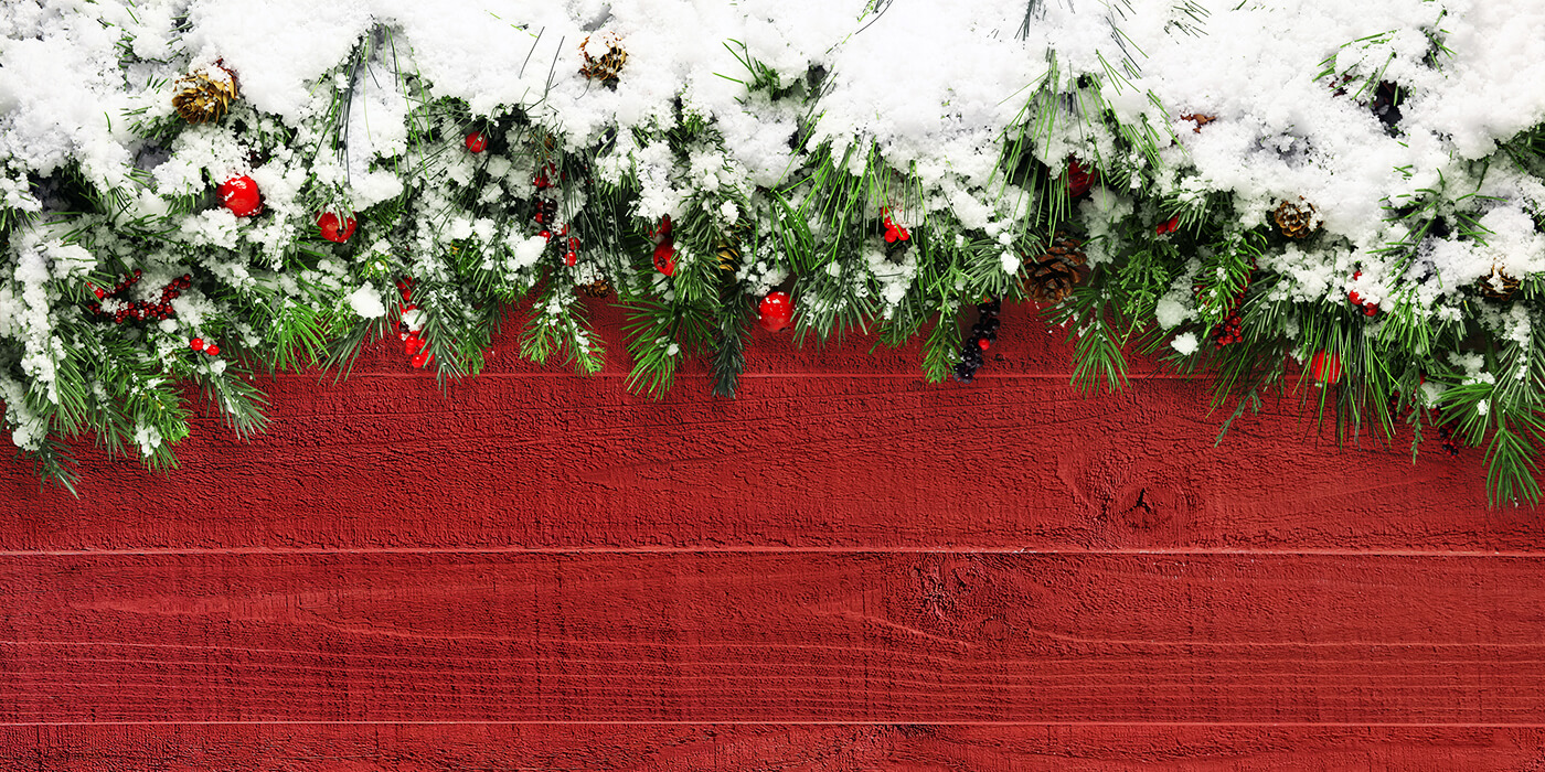 Holiday decorations of greens, berries and snow on a barn wall.