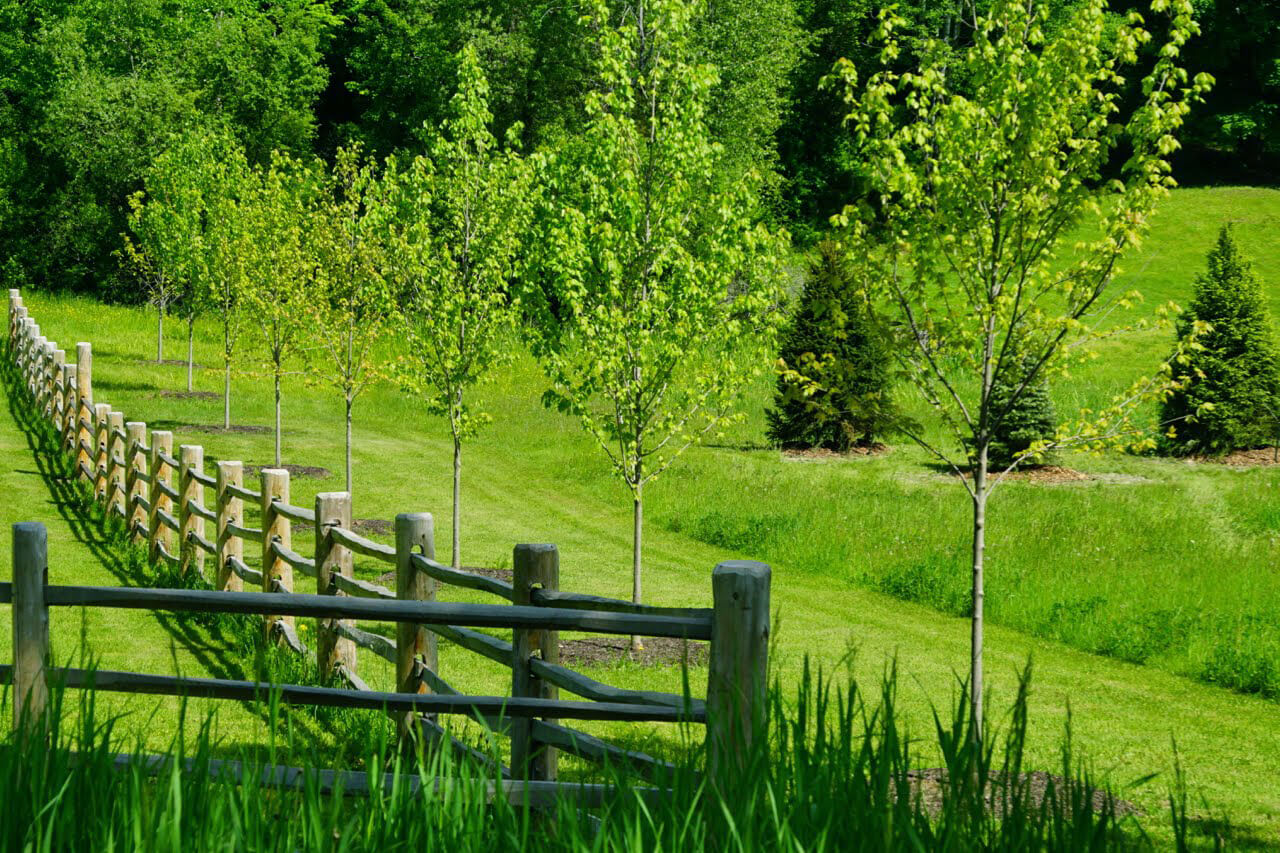 Yard border with fence, green grass, and trees