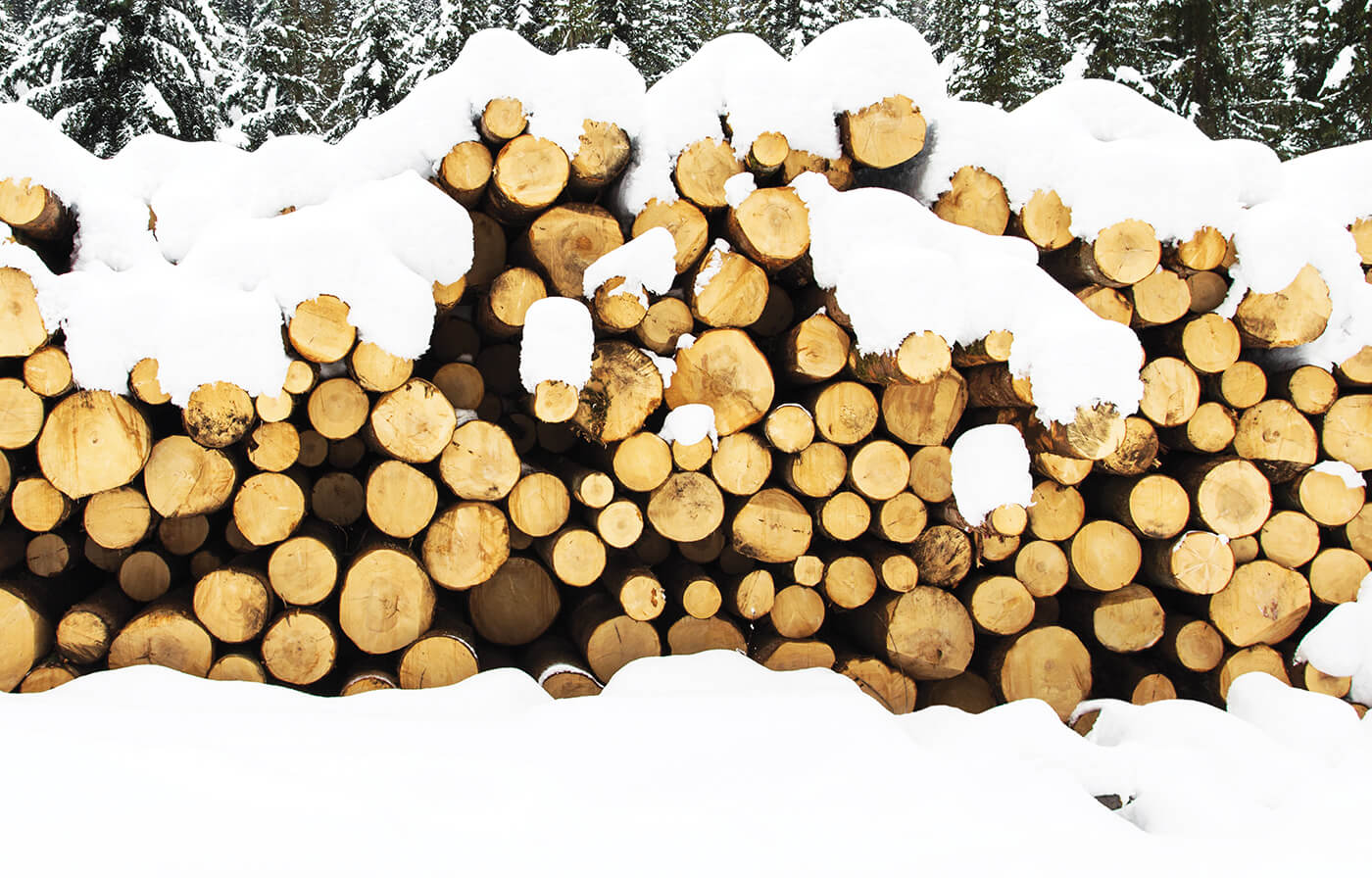 Tree logs stacked in a woodpile blanketed by snow.