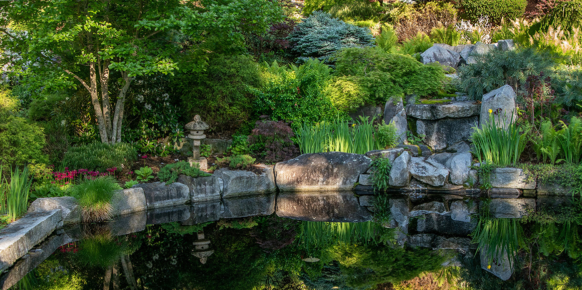 Still pond waters reflect a rich stone and plant summer garden.