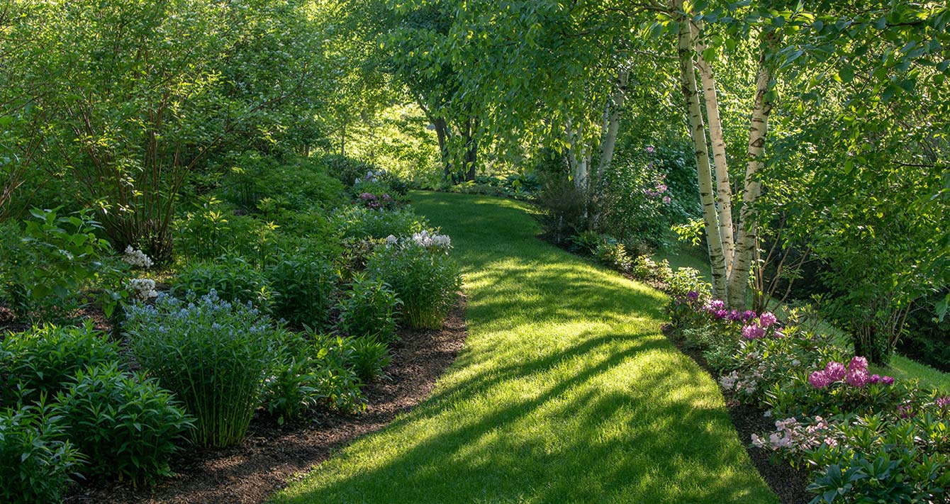 Grass path between fully leafed woodlands and gardens.