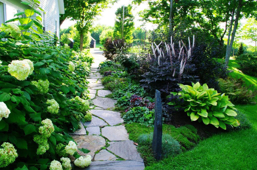 Shade garden in summer sunlight with a stone path and home.