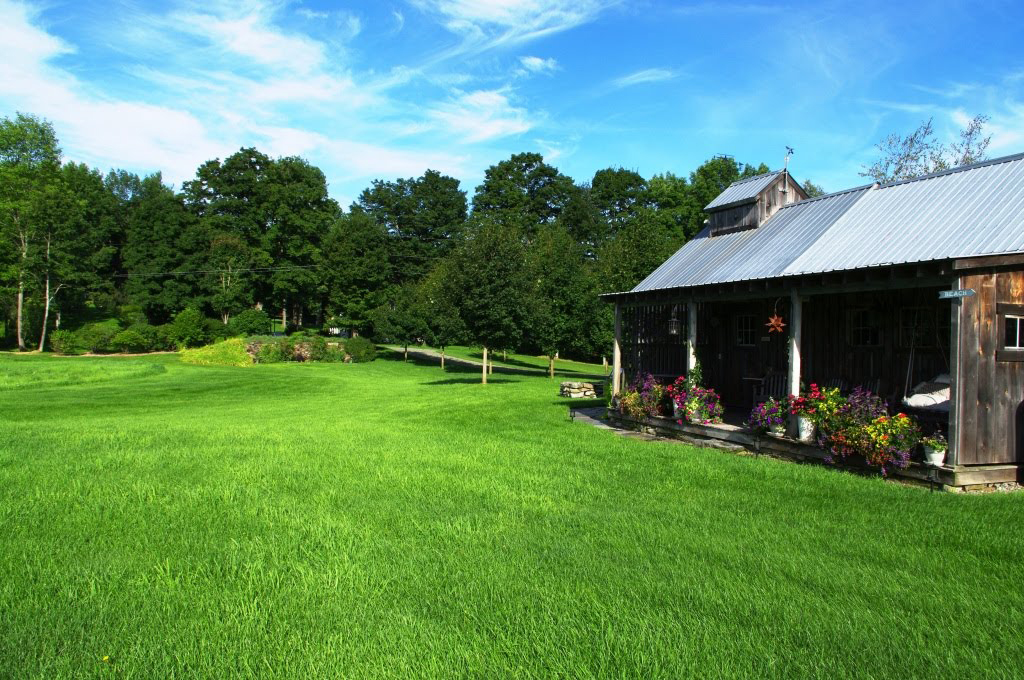 Lawn on a property edged by trees and a barn on a clear summer day.