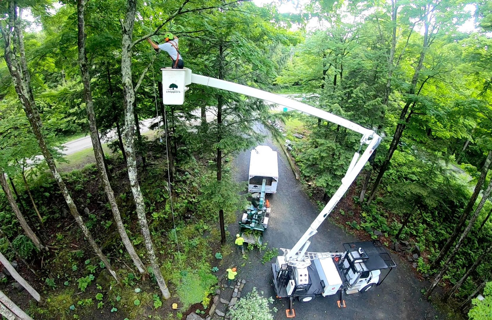 Career Opportunities • Job Openings • Chippers Inc.