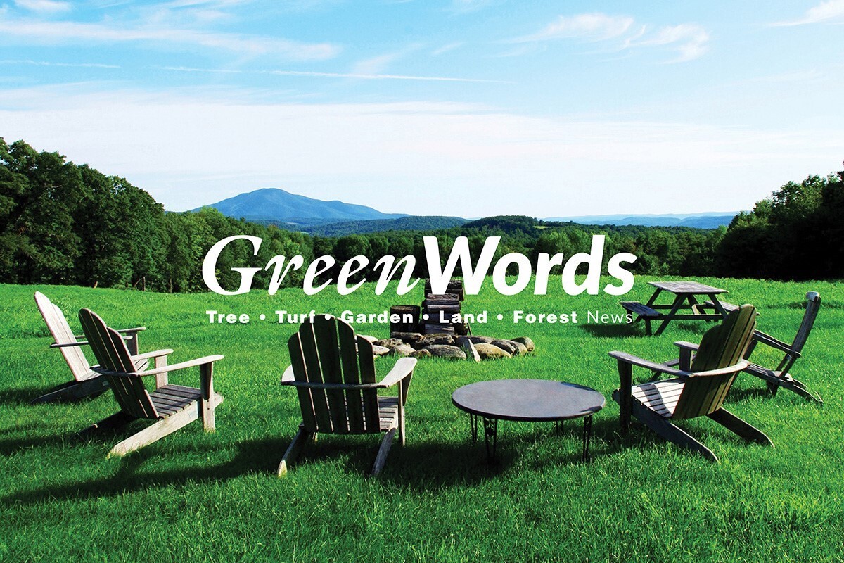 Adirondack chairs in front of a firepit with a beautiful mountain view