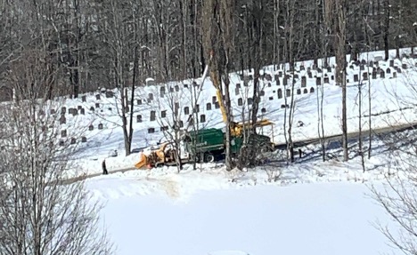 Davey Utility Trucks Clearing Lines