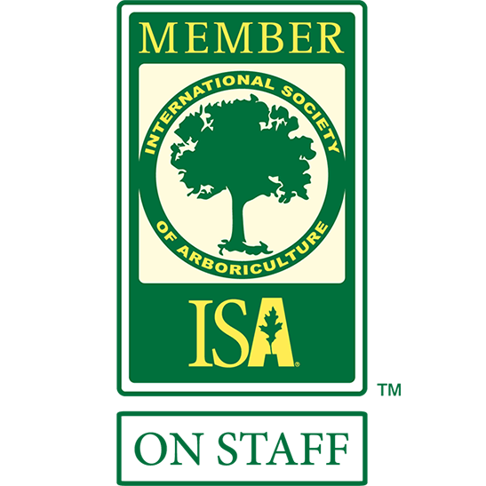 Logo for ISA Member on Staff.