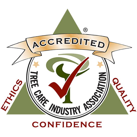 Logo for Tree Care Industry Association Accreditation.